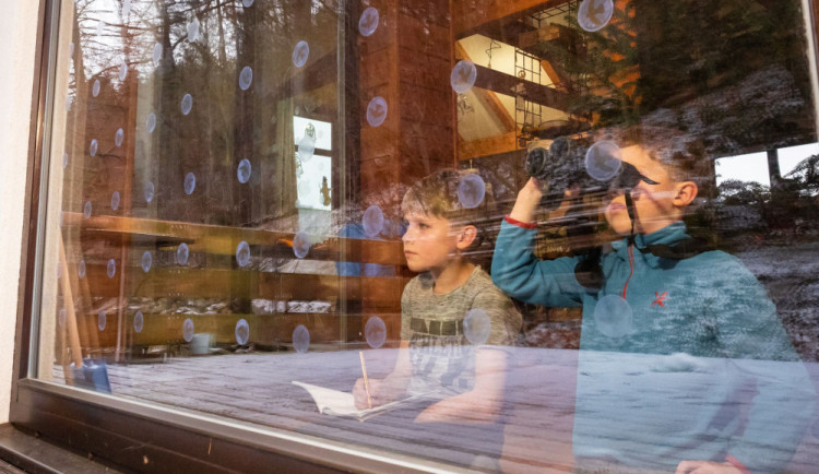 Ptačí hodinka láká stále více zájemců, zapojte se do sčítání opeřenců