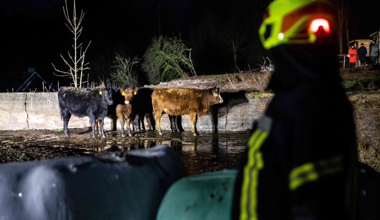 Na Trutnovsku zachvátil požár stáje. Uhynulo asi 150 krav