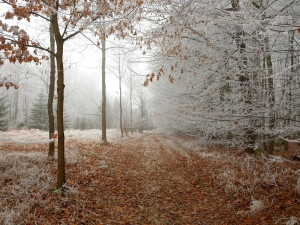 Tento týden meteorologové slibují ochlazení. S předpovědí jsou tentokrát opatrnější