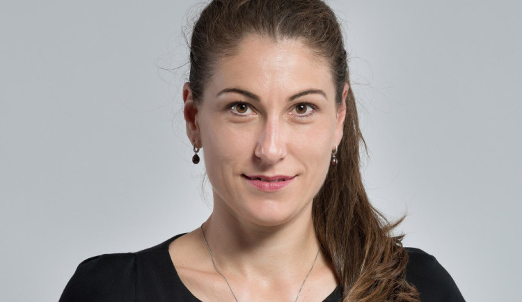 České předsednictví Radě EU aneb schopnost vést ostatní.