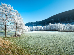 O víkendu naměříme kolem nuly, sněžit bude jen ojediněle. V noci bude mrznout