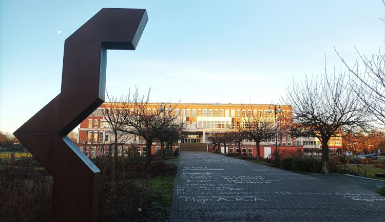 IMG_20230112_081900-01