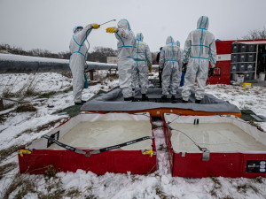 OBRAZEM: Hasiči v Dobřenicích na Hradecku začali likvidovat chov kachen s ptačí chřipkou
