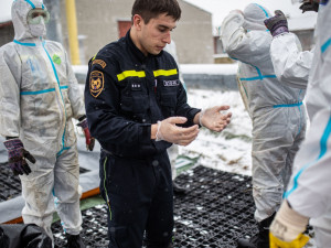 OBRAZEM: Hasiči v Dobřenicích na Hradecku začali likvidovat chov kachen s ptačí chřipkou