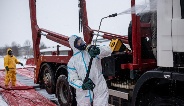 OBRAZEM: Hasiči v Dobřenicích na Hradecku začali likvidovat chov kachen s ptačí chřipkou