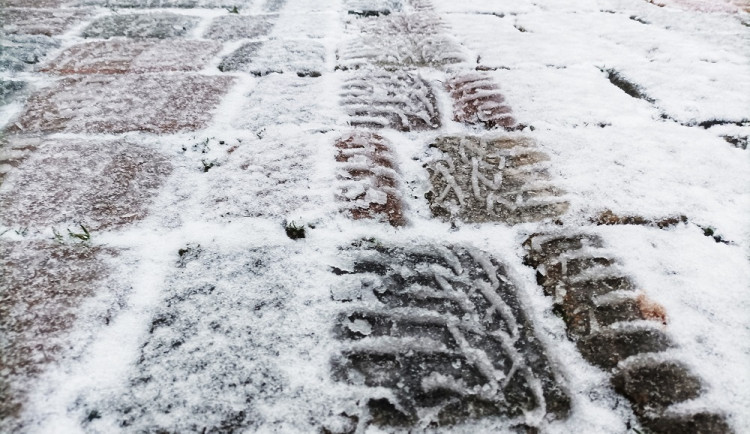 IMG_20230203_075110-01