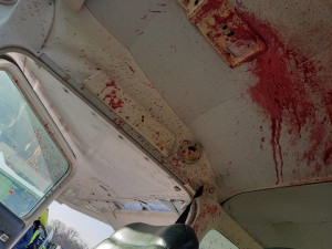 FOTO: Na hradeckém letišti nouzově přistál letoun po střetu s orlem. Žák se lehce zranil