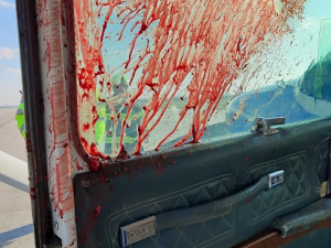 FOTO: Na hradeckém letišti nouzově přistál letoun po střetu s orlem. Žák se lehce zranil