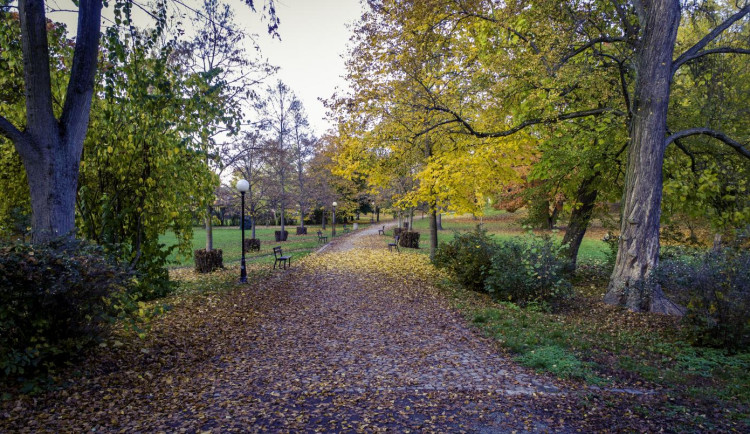 Dvůr Králové chce revitalizovat park Schulzovy sady. Jeho novou podobu mohou ovlivnit místní.