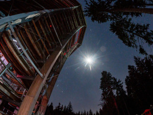Noční prohlídka na Stezce korunami stromů v Krkonoších slibuje velké dobrodružství