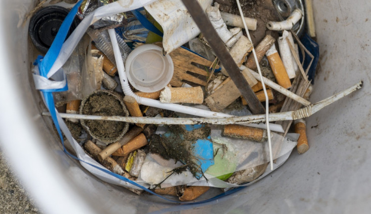 Úklid pohozených odpadků zaplatí výrobci jednorázových plastových obalů 