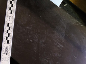 Gang bytařů napáchal škodu za miliony. Podle policie řádil i na Náchodsku