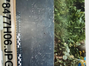 Gang bytařů napáchal škodu za miliony. Podle policie řádil i na Náchodsku