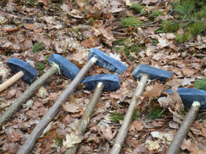 U Hradce Králové káceli jako v pravěku kamennými sekerami. Dub šel k zemi za 29 minut