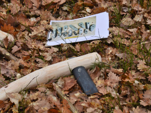 U Hradce Králové káceli jako v pravěku kamennými sekerami. Dub šel k zemi za 29 minut