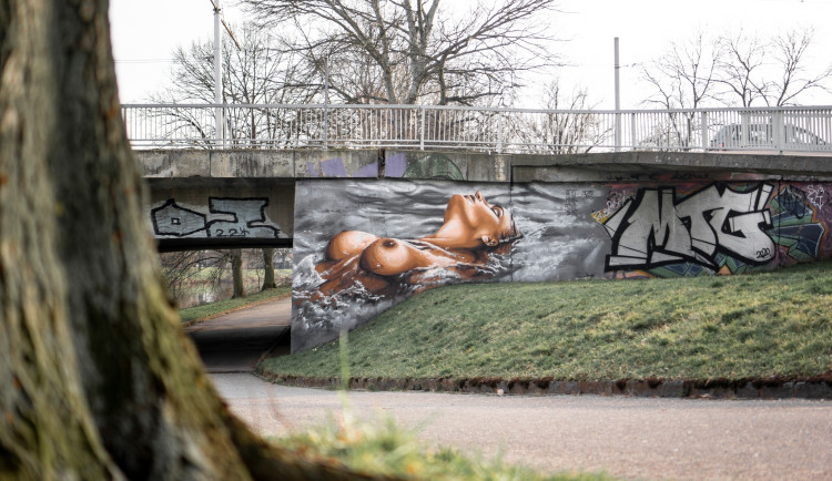 Kontroverzní malba nahé ženy budí emoce. Dokumentuji obsah sociálních sítí, říká její autor
