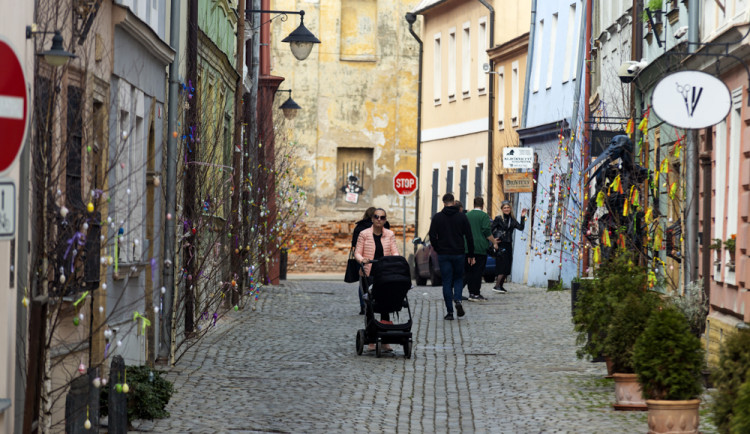 Pestrobarevná krása: kraslicovníky jarně oživily uličku v centru Olomouce