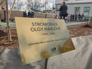 V Trutnově vysadili pět sakur na památku Olgy Havlové. Letos by se dožila 90 let