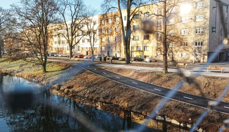 Hradec bude zelenější, město na jaře vysází stovky stromů