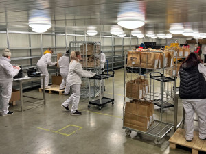 Nejlépe hodnocená krabičková dieta od NutritionPro nově i v Hradci Králové