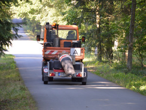 V hradeckých lesích začnou opravy asfaltových cest, budou bezpečnější