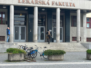 OBRAZEM: Šílený střelec v Hradci Králové pálil do studentů. Do cvičení se zapojily všechny složky IZS