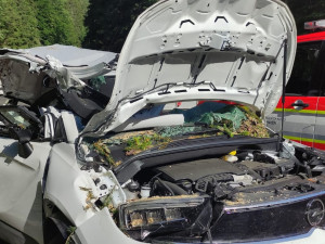 Policie odložila případ pádu stromu na osobní auto u Horního Maršova. Při nehodě zemřeli tři lidé