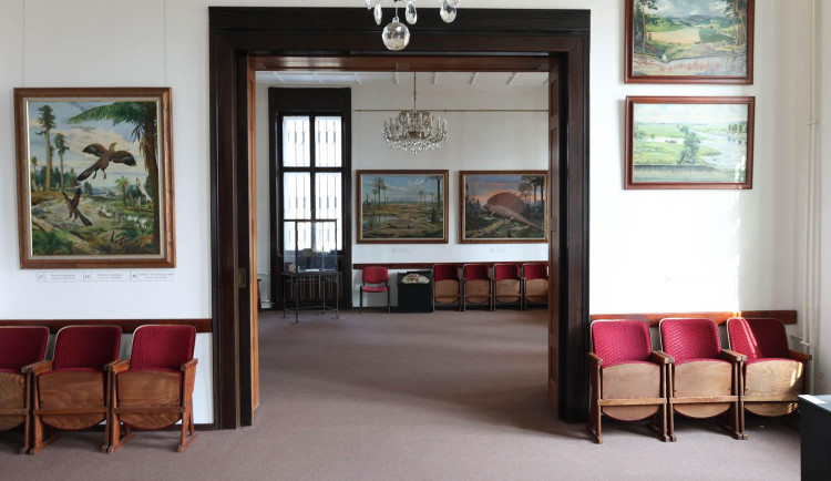 Safari Park ve Dvoře Králové si slaví 40 let Galerie Zdeňka Buriana