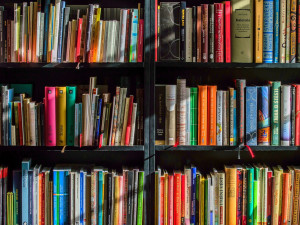 Jičínská knihovna nabízí knihy k adopci. Čtenáři tak knihovníkům ušetří práci při stěhování