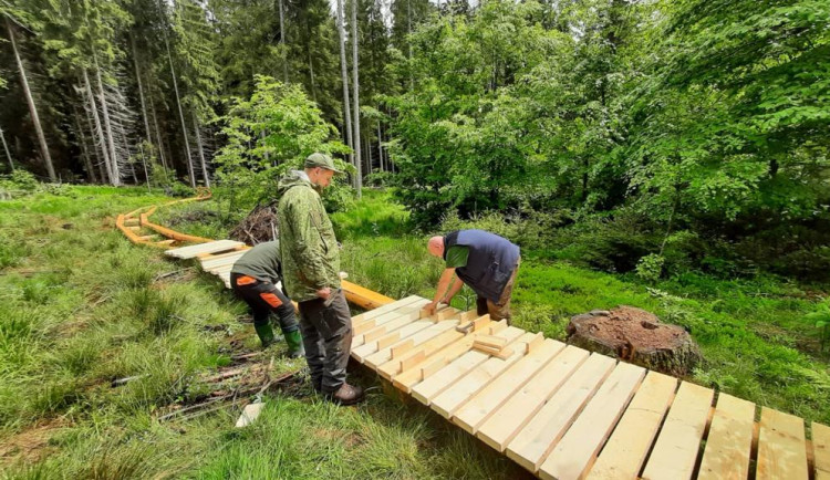 Turisté se díky nové stezce dostanou k Boubínskému jezírku