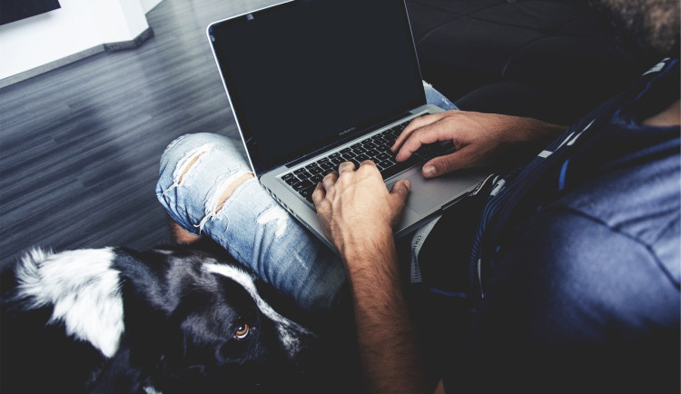 Podvodníci na internetu nabízeli štěňata retrívrů. Šlo o promyšlený podvod.