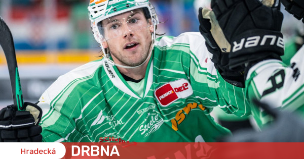 Der Hockeyspieler Hradec Králové wird durch den kanadischen Stürmer Jasper verstärkt |  Hockey |  Sport |  Hradecka-Klatsch