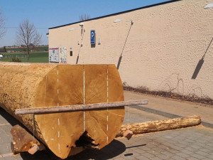 budoucí dno monoxylu