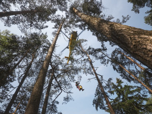 Cvičení záchranářů, hasičů a Horské služby