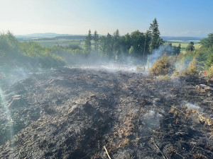 Na Jičínsku hořel les, při zásahu asistoval i bambivak a osmdesát hasičů