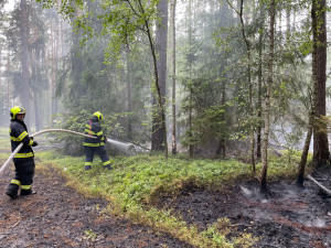U Žďáru nad Orlicí na Rychnovsku hořel téměř hektar lesa
