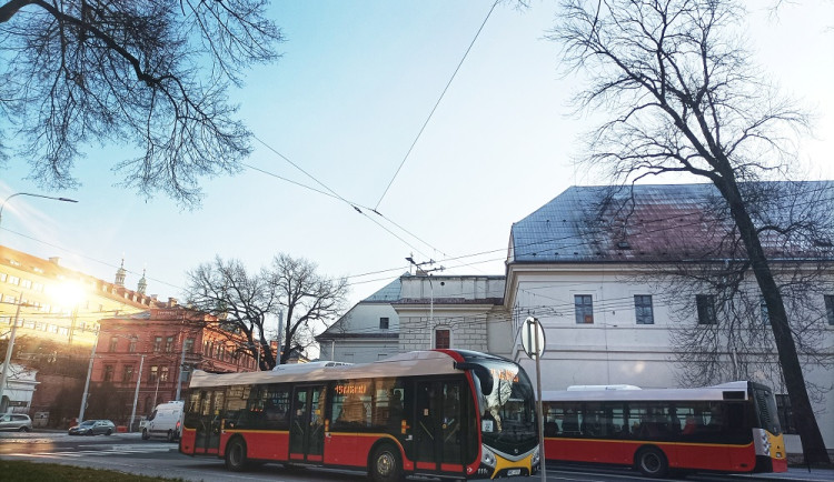 IMG_20230303_074959-01