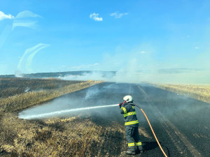 Hasiči na Hradecku zasahovali u požáru pole. Škoda je předběžně sto tisíc