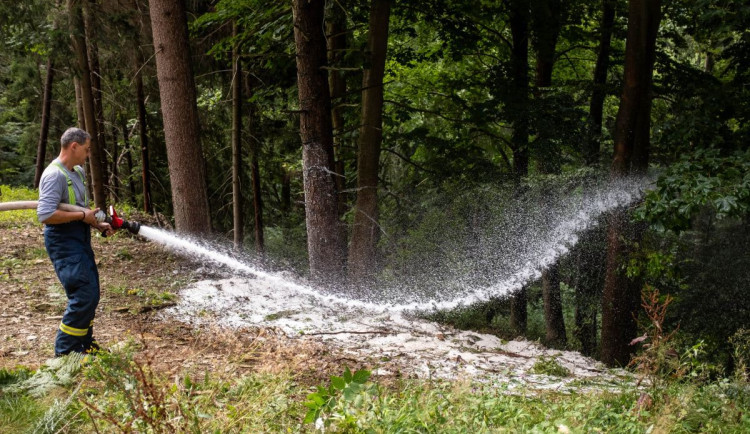 16331596628962-207-8