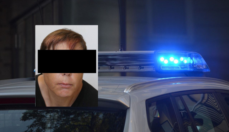 Od čtvrtka pohřešovaná mentálně postižená žena z Hradecka nelezena v lese