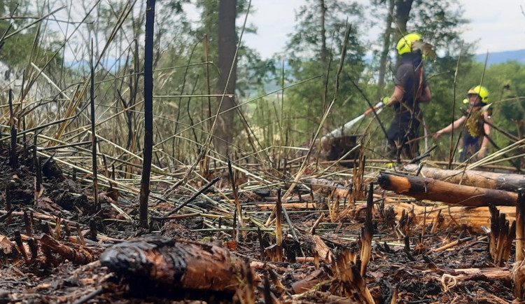 Na Jičínsku hořela paseka a stromy. Na místě bylo několik jednotek hasičů