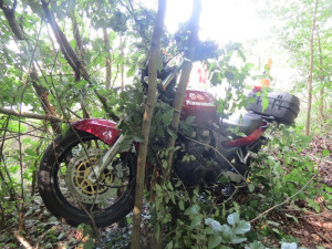 V nemocnici zemřela motorkářka, které vběhl v sobotu u Lovčic do cesty srnec