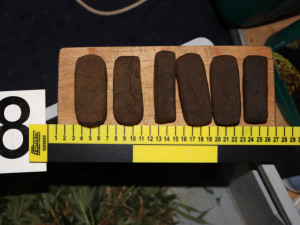 Vypěstovali padesát kilo marihuany, než si pro ně přišla zásahovka