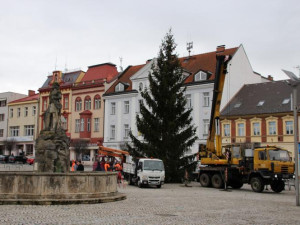 Dvůr Králové už shání vánoční strom na náměstí T.G.Masaryka