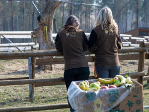 Kdo plýtvá jídlem, vyhazuje tisíce do koše