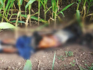 Neexistuje dokonalá vražda, jen shoda náhod