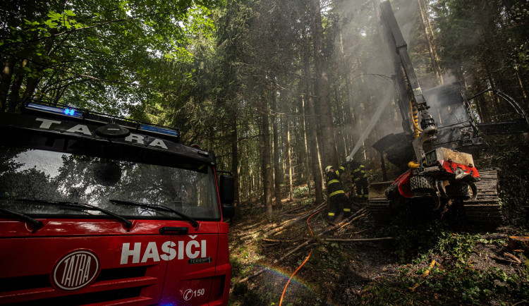 Lesníci z Orlických hor přišli o stroj na těžbu dřeva, škoda jde do milionů
