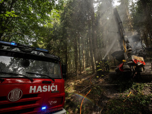 Lesníci z Orlických hor přišli o stroj na těžbu dřeva, škoda jde do milionů