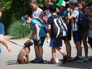 Safari Park Dvůr Králové měl o prázdninách návštěvu jako loni