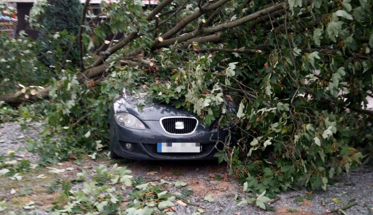 Vítr v noci v Královéhradeckém kraji lámal stromy. Bez elektřiny bylo přes tisíc domácností